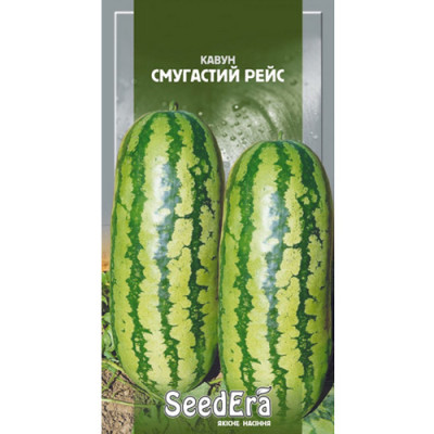 Окуляри захисні Fitter anti-scratch SIGMA (прозорі) / уп.12шт