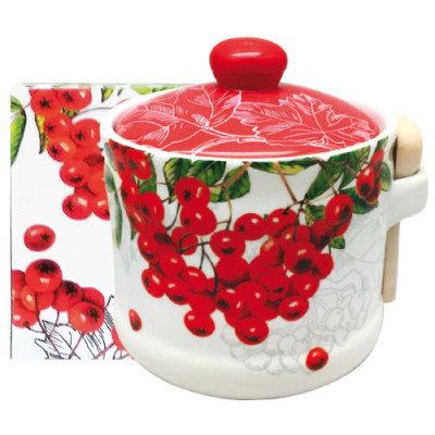 Монофосфат калія 500гр / уп 50шт
